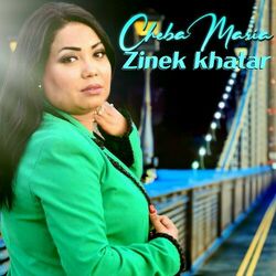 Cover of Zinek khatar
