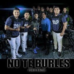 Cover of No Te Burles (En Vivo)