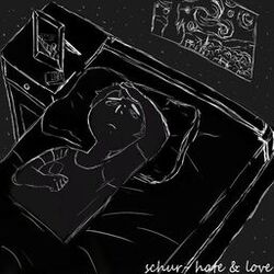 Cover of Hate and Love