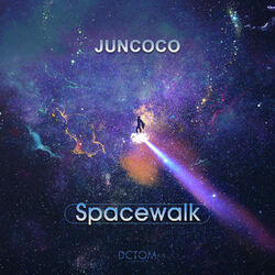 Cover of Spacewalk