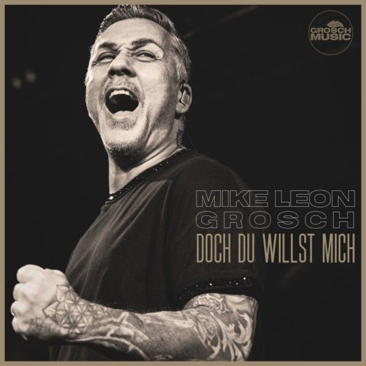 Album cover of Doch du willst mich