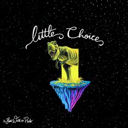 Cover of Little Choice