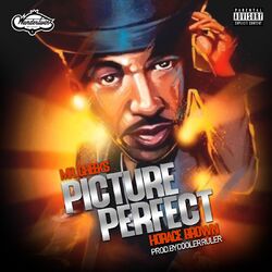 Cover of Picture Perfect