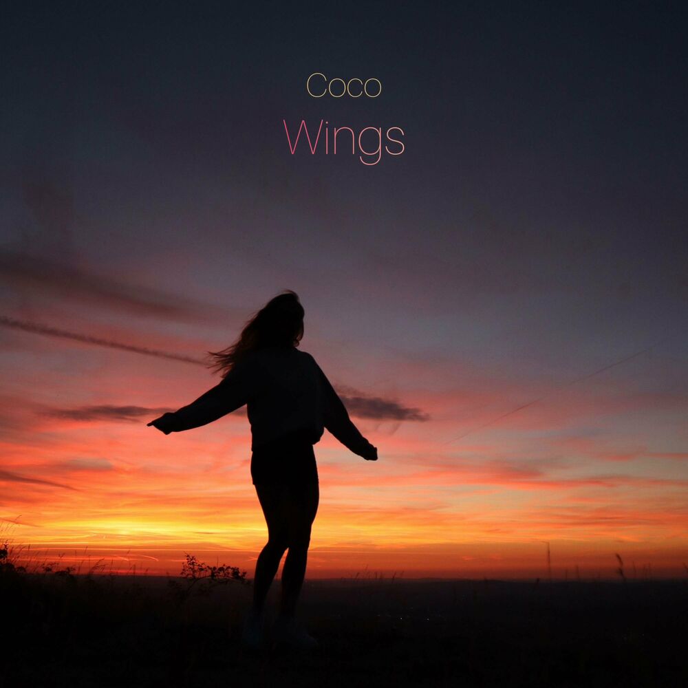 Picture of Wings