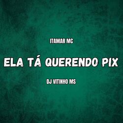 Cover of Ela Tá Querendo Pix