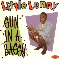 Cover of Gun in a Baggy
