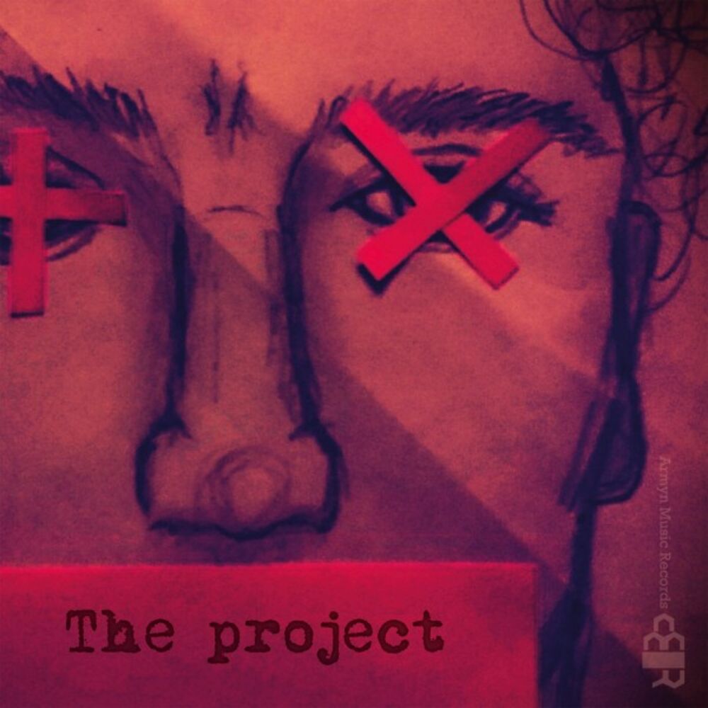 Picture of The project