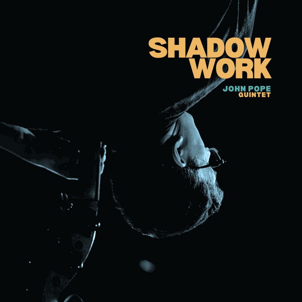 Picture of Shadow Work