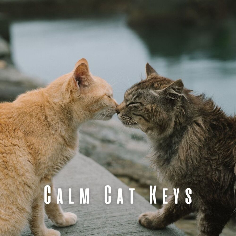 Picture of Calm Cat Keys: Meditative Piano Meows and Melodies