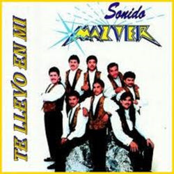 Cover of Te Llevo en Mi