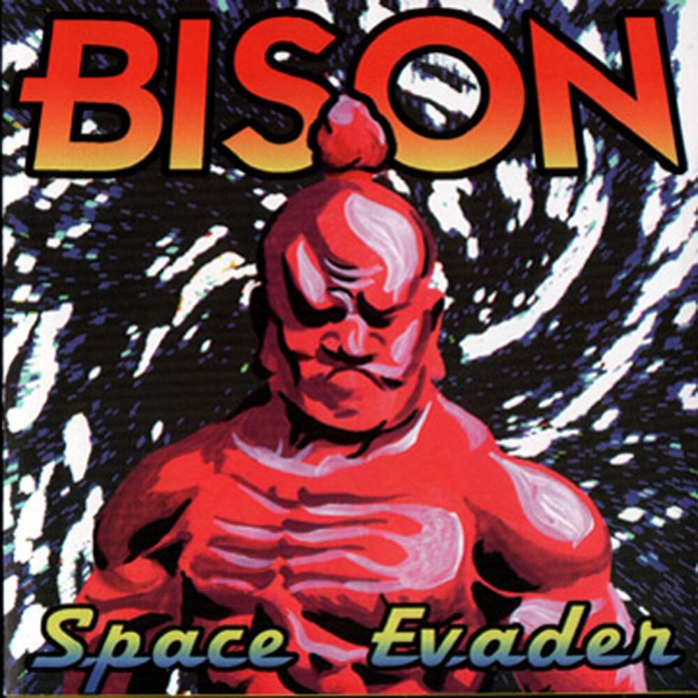 Picture of Space Evader