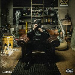 Cover of Don Malaa