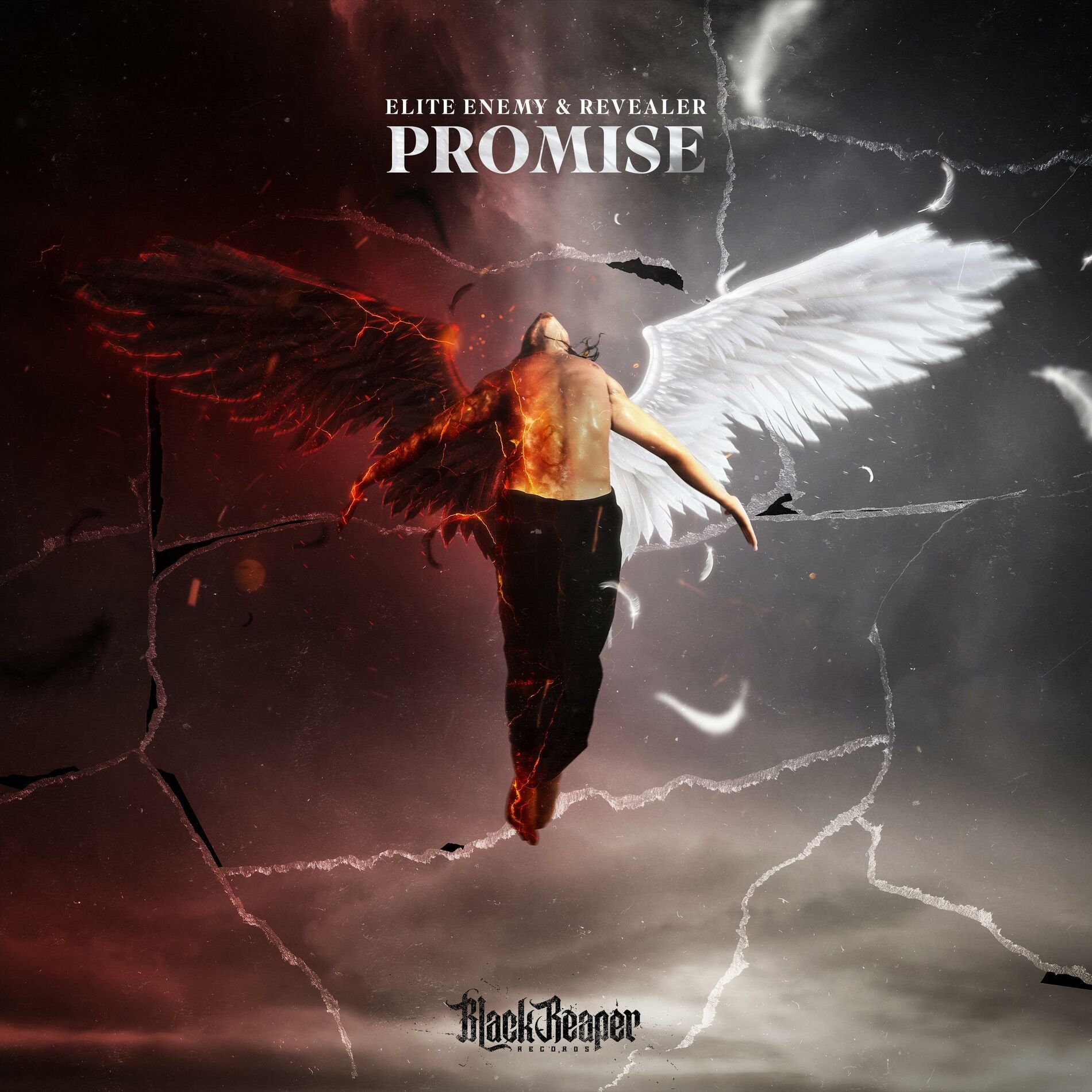 Album cover of Promise