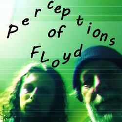 Cover of Perceptions of Floyd