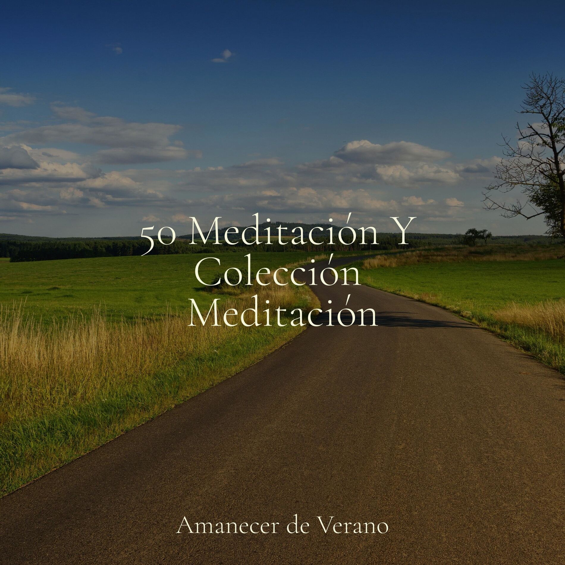 Album cover of 50 Meditación Y Colección Meditación