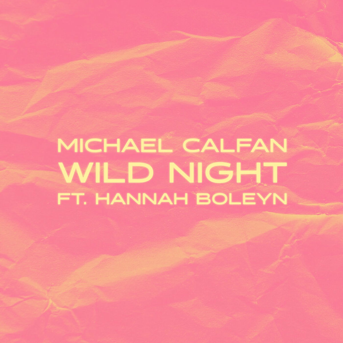 Album cover of Wild Night