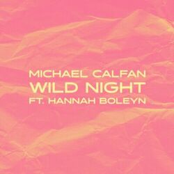 Cover of Wild Night