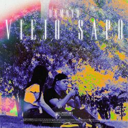 Cover of Viejo Sapo