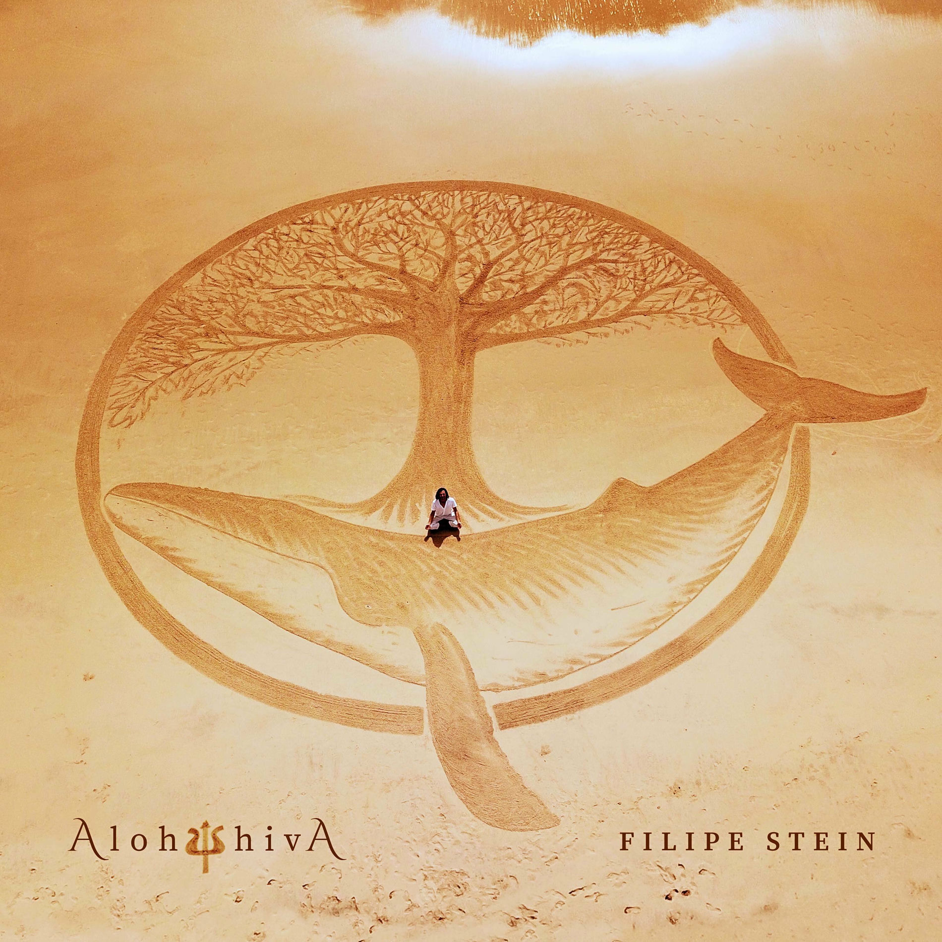 Album cover of Aloha ψ Shiva
