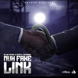 Cover of Nuh Fake Link