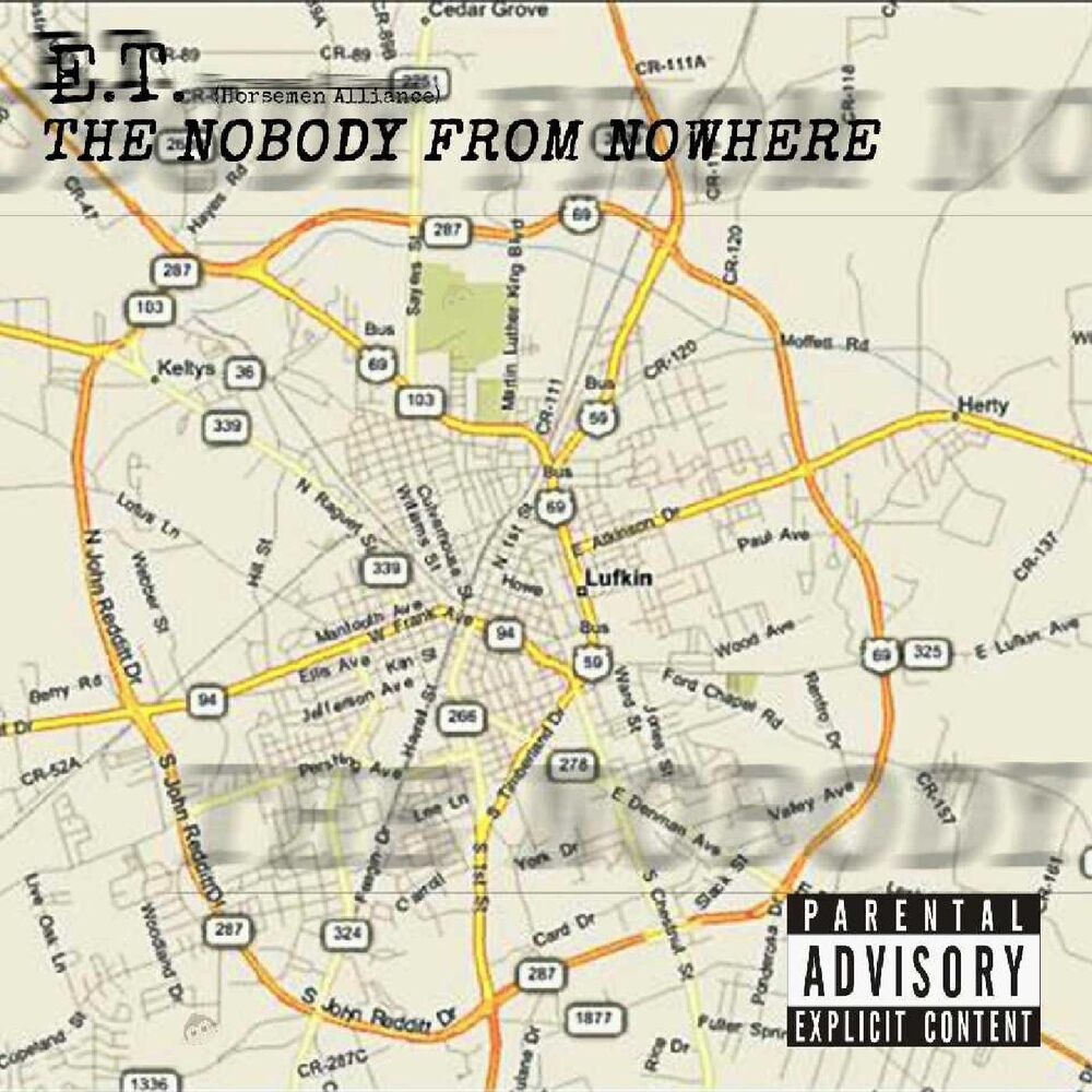Picture of The Nobody from Nowhere