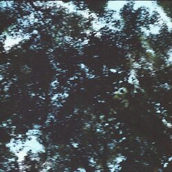 Cover of reflection