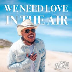 Cover of We Need Love in the Air
