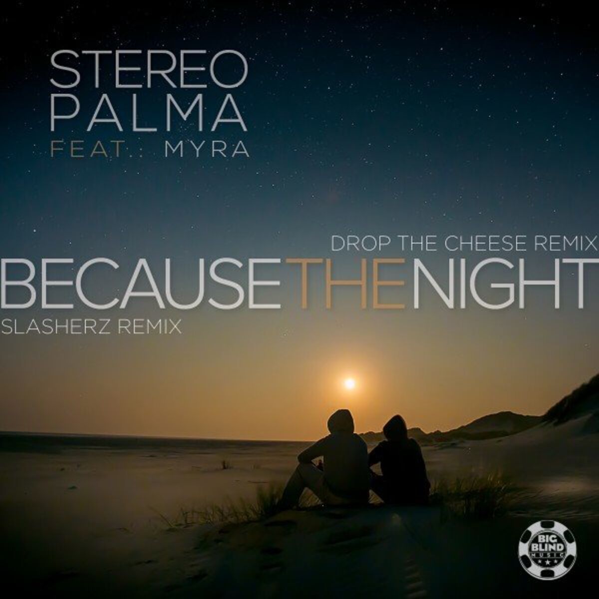 Album cover of Because the Night (Remixes)