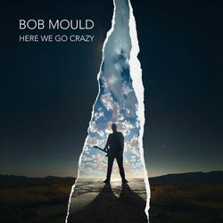 Cover of Here We Go Crazy