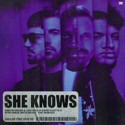 Cover of She Knows (with Akon) (The Remixes)
