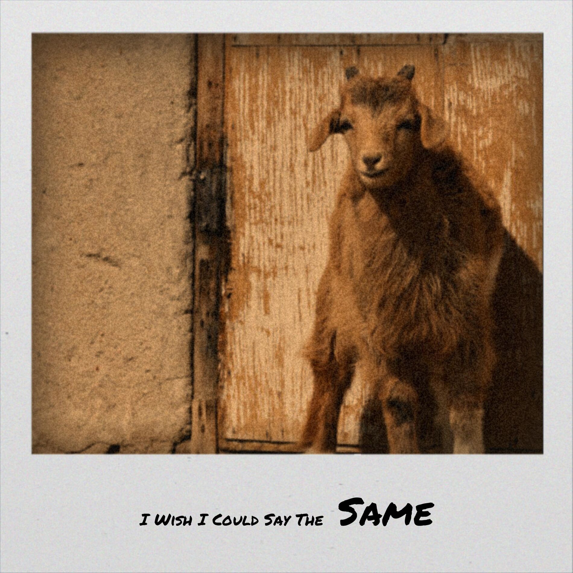 Album cover of I Wish I Could Say The Same