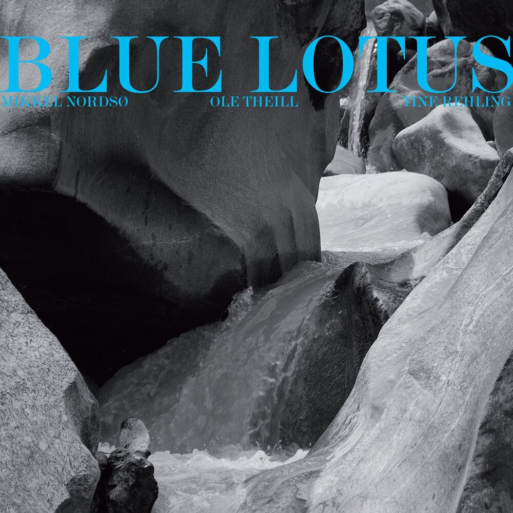 Picture of Blue Lotus