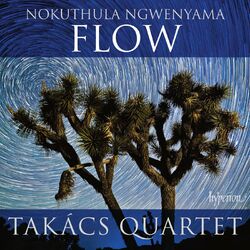 Cover of Ngwenyama: Flow