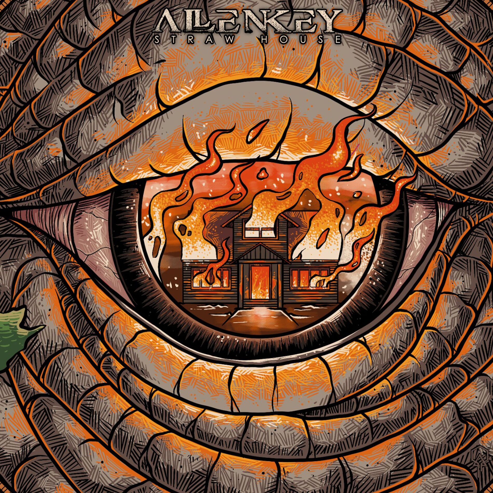 Album cover of Straw House