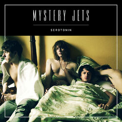 Cover of Serotonin