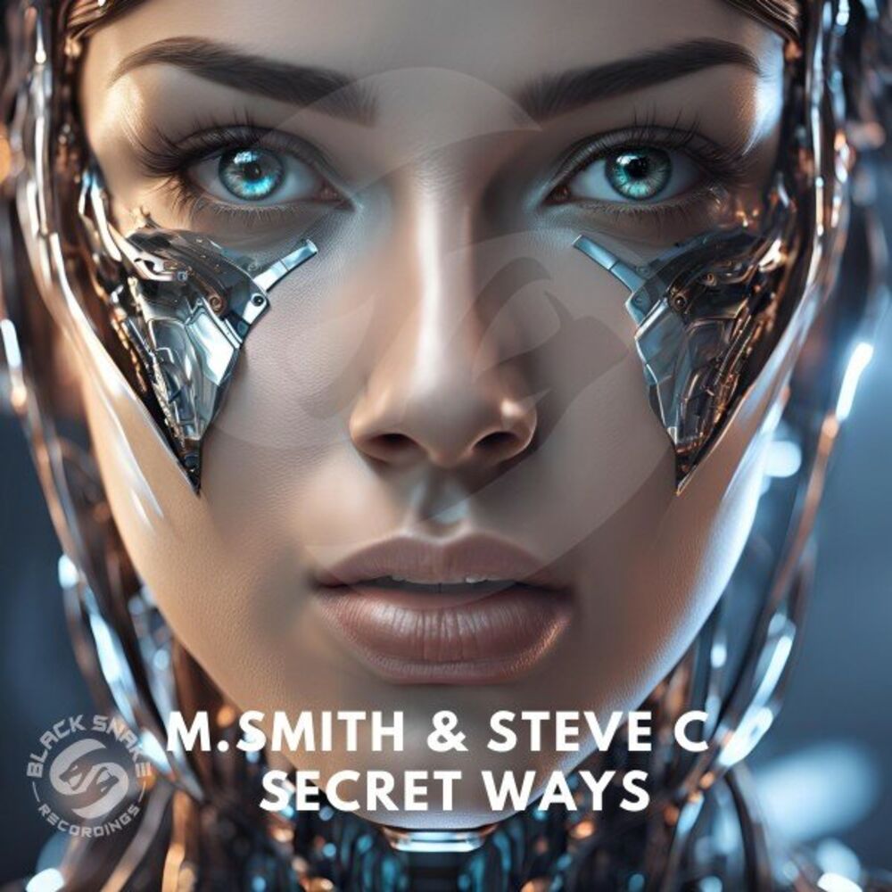 Picture of Secret Ways