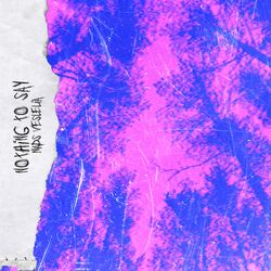Cover of Nothing to Say