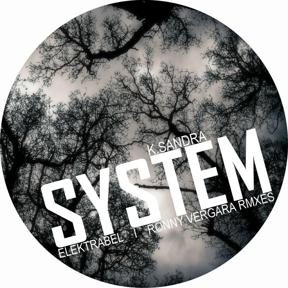 Picture of System