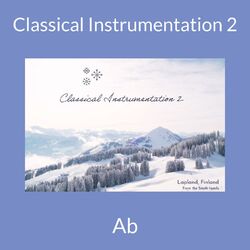 Cover of Classical Instrumentation 2