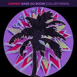 Cover of Bass Go Boom (Collier Remix)