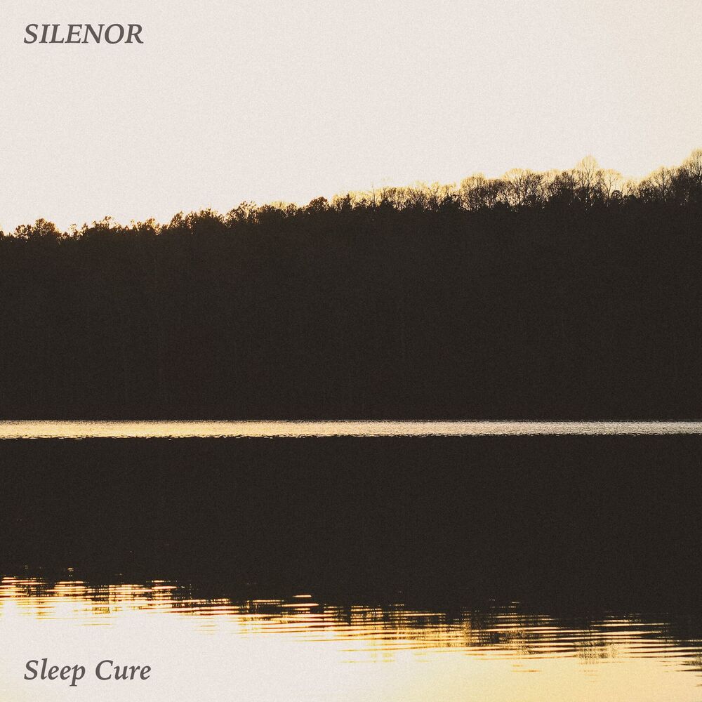 Picture of Sleep Cure