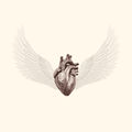 Under Your Wings, Close To Your Heart