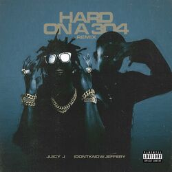 Cover of HARD ON A 304