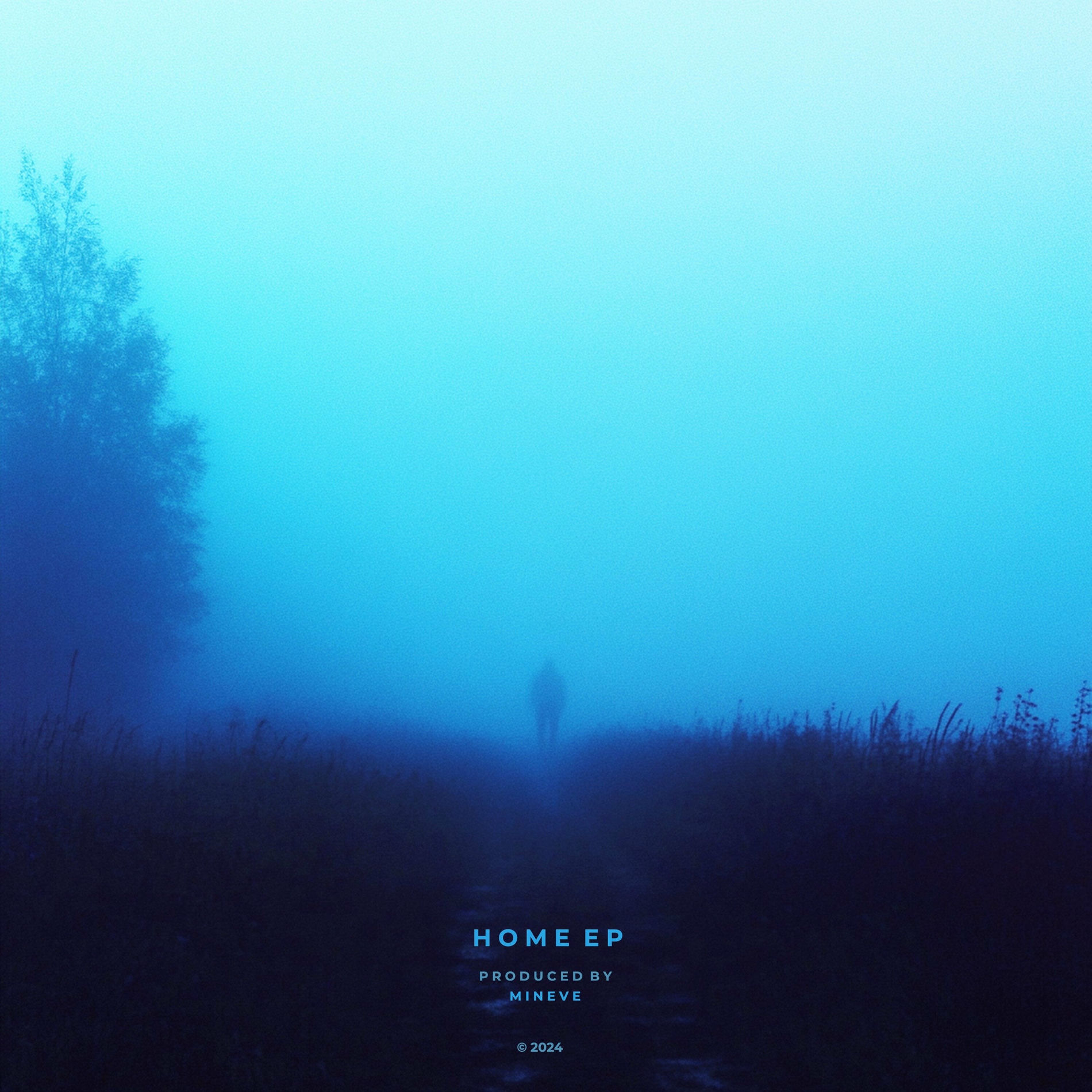 Album cover of home EP