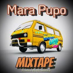 Cover of Mara streat Dance