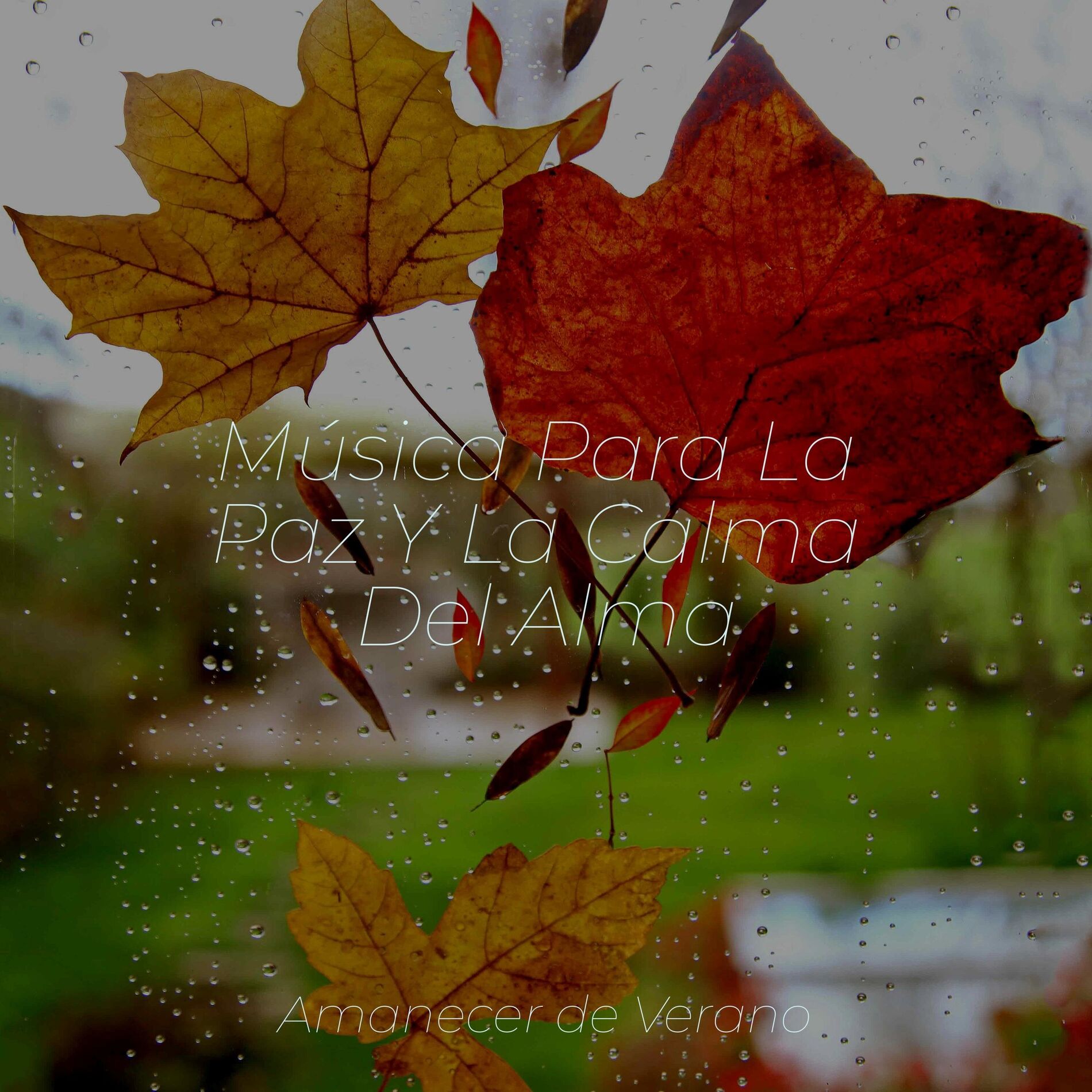 Album cover of Música Para La Paz Y La Calma Del Alma