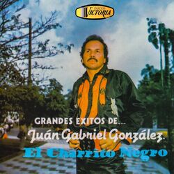 Cover of Grandes Éxitos de Juan Gabriel González