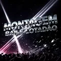 Montagem Baile Lotadão