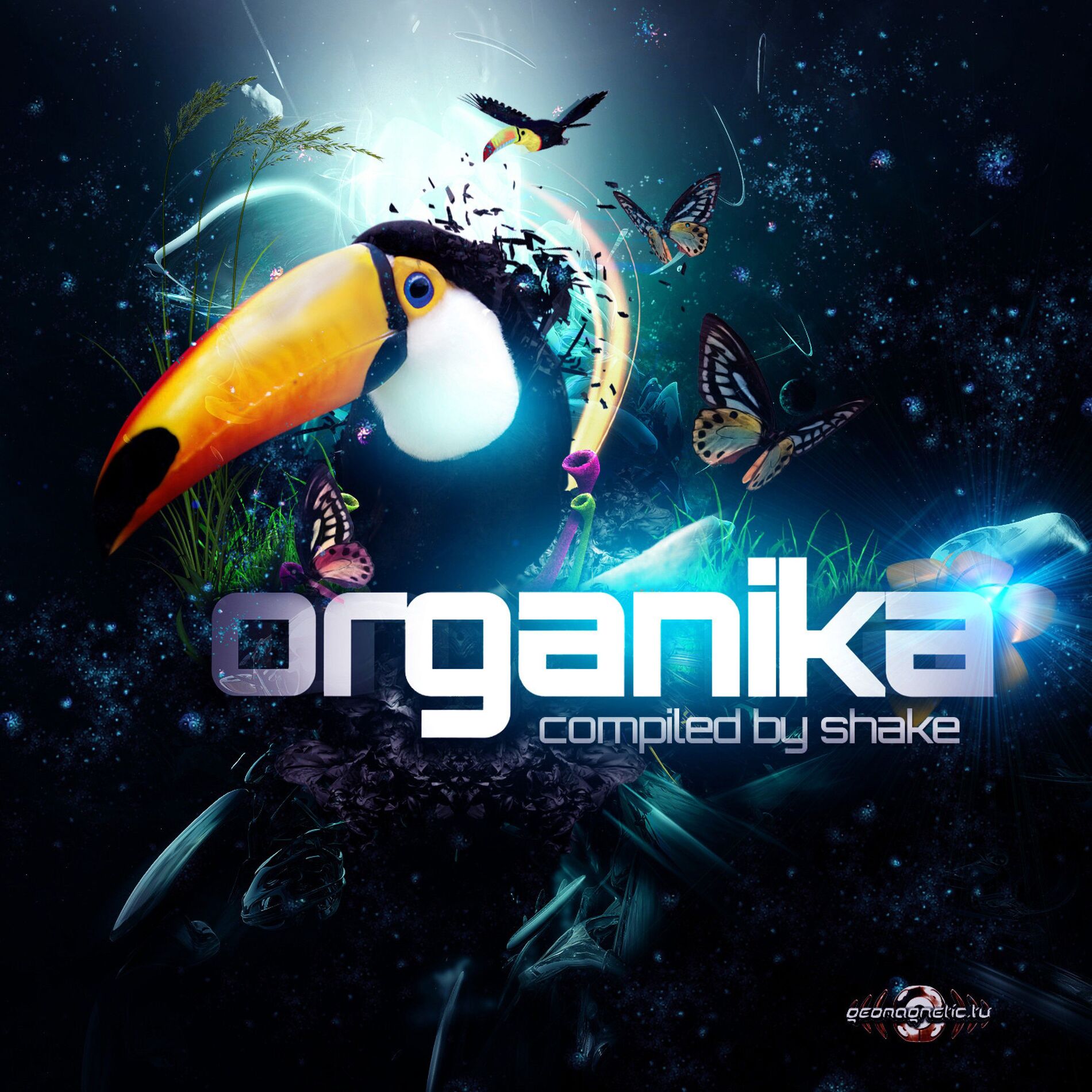 Album cover of Organika