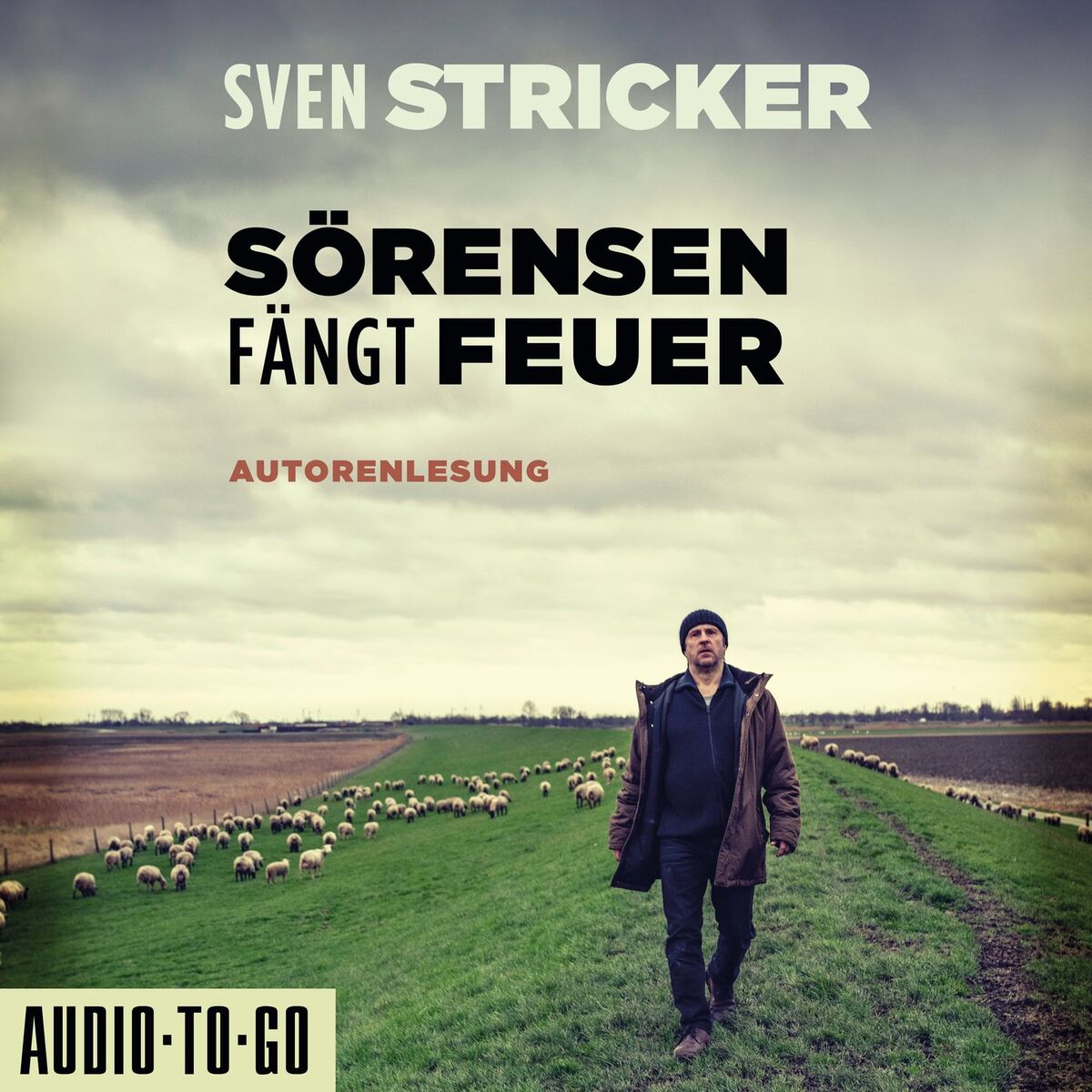 Album cover of Sörensen fängt Feuer - Sörensen ermittelt, Band 2 (ungekürzt)